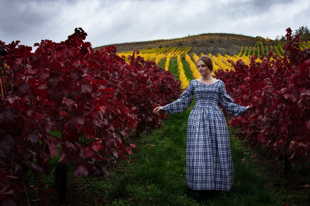 Dieses Bild hat ein leeres Alt-Attribut. Der Dateiname ist 1840-Karo-Weinberg-1-hp-1024x683.jpg