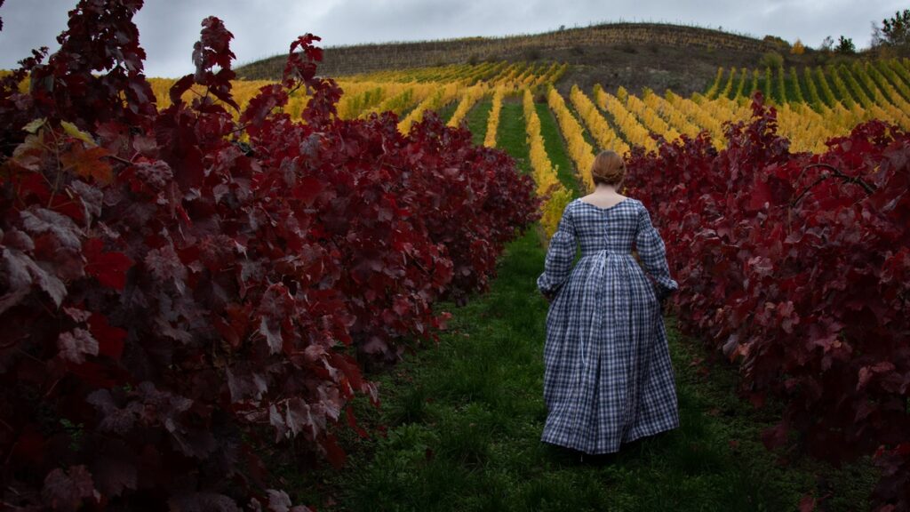 Dieses Bild hat ein leeres Alt-Attribut. Der Dateiname ist 1840-Karo-Weinberg-hinten-hp-1024x576.jpg